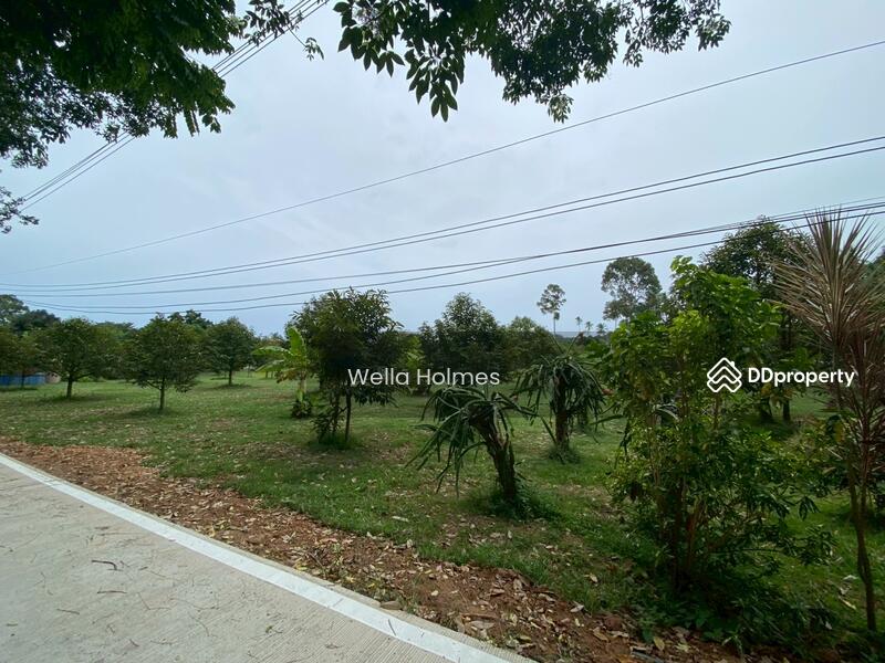 For Sale - Land in Bangpor, koh samui, Surat Thani