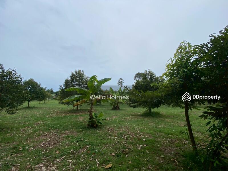 ขาย - Land in Bangpor, koh samui, สุราษฎร์ธานี