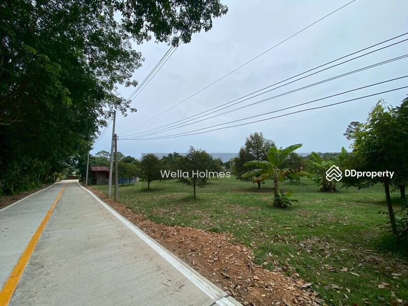 ขาย - Land in Bangpor, koh samui, สุราษฎร์ธานี