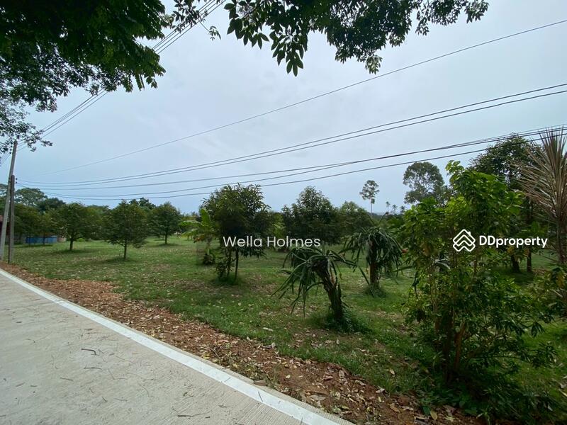 ขาย - Land in Bangpor, koh samui, สุราษฎร์ธานี