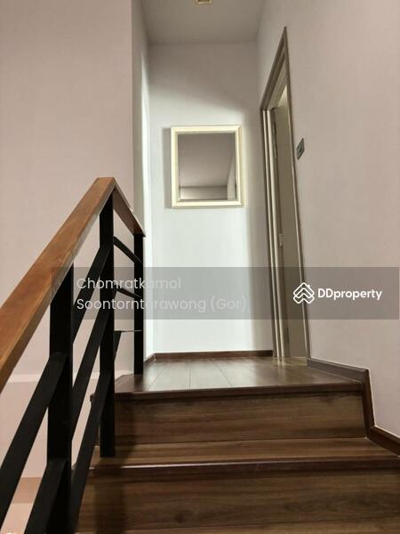ให้เช่า - CEIL by Sansiri : ซีล บาย แสนสิริ, กรุงเทพ