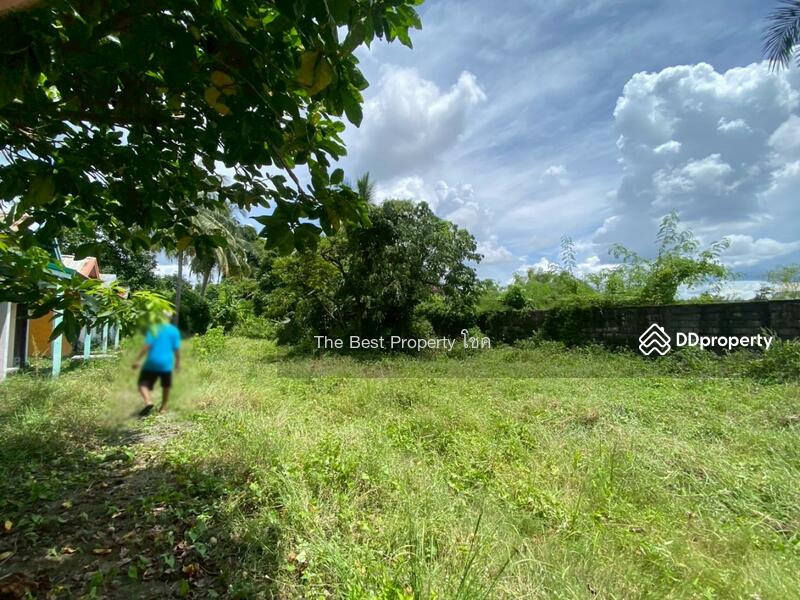 ขาย - ที่ดินกุดสระ อุดรธานี, อุดรธานี