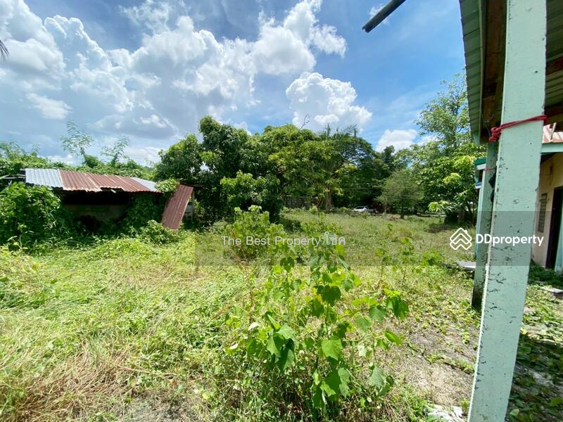 ขาย - ที่ดินกุดสระ อุดรธานี, อุดรธานี