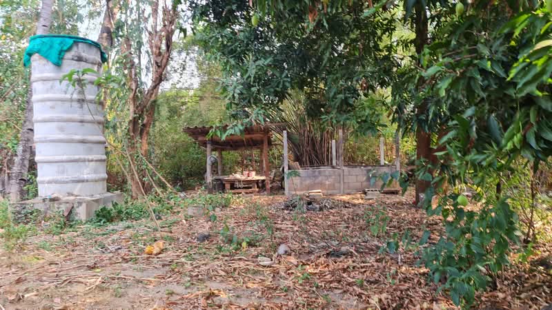 ตำบล แม่ท้อ อำเภอ เมืองตาก จังหวัด ตาก, Tak, Mae Thor, Muang Tak, Tak, 2 Bedrooms, 374 sqm, Single Detached House For Sale, by วันวิสา, 60148431 - DDproperty.com