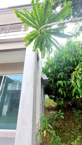 Centro Pinklao-Wongwaen, Nonthaburi, Bang Muang-Bang Khulat Road, Bang Yai, Bang Yai, Nonthaburi, 3 Bedrooms, 198 sqm, Single Detached House For Sale, by วรินทร กูลจีรัง, 60148785 - DDproperty.com