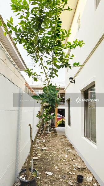 ขาย - Life Home Baan bueng : ไลฟ โฮม บ้านบึง, ชลบุรี