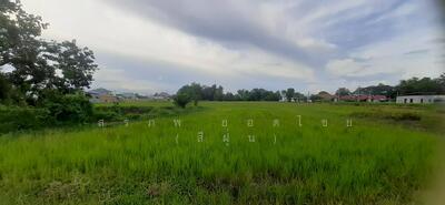 ขาย - ขายที่ดิน เนื้อที่ 2 ไร่ 139 ตร.วา อ.ดอยสะเก็ด จ.เชียงใหม่, เชียงใหม่