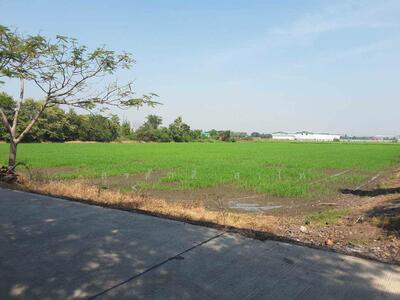 ขาย - ที่ดินสามโคก ท้ายเกาะ 11-0-12ไร่ ย่านโรงงานถนน19ไร่เลียบคลองเจ็ก ปทุมธานี ขายด่วนไร่ละ 1.6 ล้านบาท, ปทุมธานี