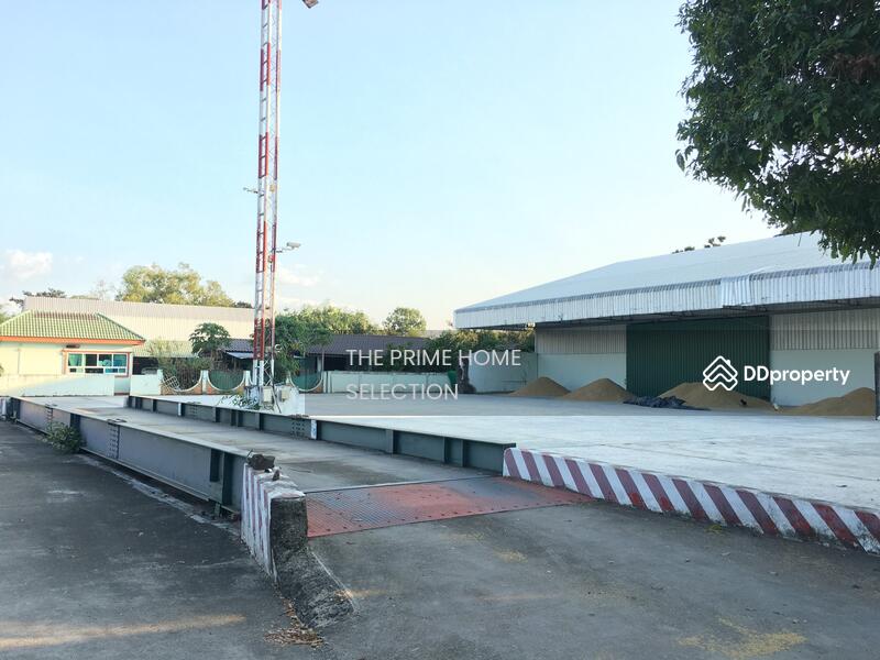 ขาย - ภูซาง พะเยา, พะเยา