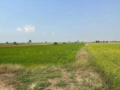 ขาย - ที่ดิน 17 ไร่ แม่ลา ต.พระนอน อ.นครหลวง จ.อยุธยา, พระนครศรีอยุธยา
