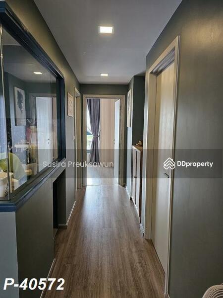 ให้เช่า - The Base Sukhumvit 50 : เดอะ เบส สุขุมวิท 50, กรุงเทพ