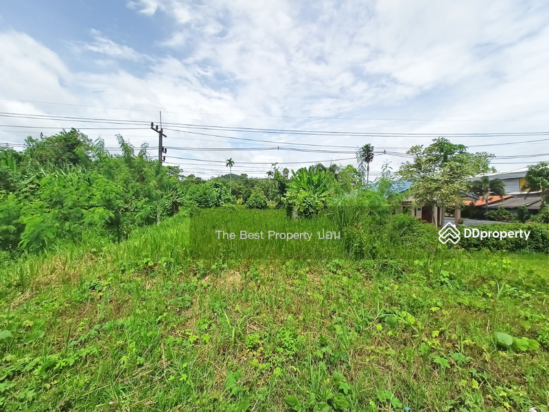 For Sale - ที่ดินทุ่งสง นครศรีธรรมราช, Nakhon Si Thammarat