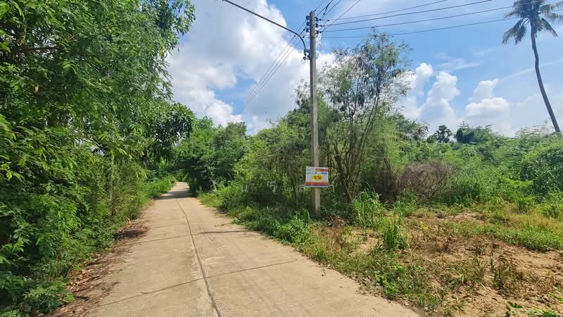 ตำบล แม่ลาด อำเภอ คลองขลุง จังหวัด กำแพงเพชร, Kamphaeng Phet, Mae Lat, Khlong Khlung, Kamphaeng Phet, , 2,124 sqm, Land For Sale, by วันวิสา, 60150123 - DDproperty.com