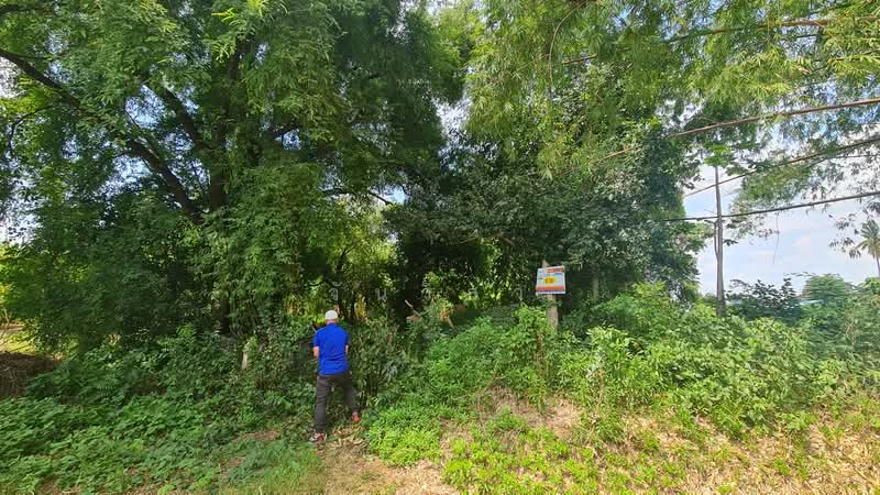 ตำบล วังแขม อำเภอ คลองขลุง จังหวัด กำแพงเพชร, Kamphaeng Phet, Wang Khaem, Khlong Khlung, Kamphaeng Phet, , 2,969 sqm, Land For Sale, by วันวิสา, 60150160 - DDproperty.com