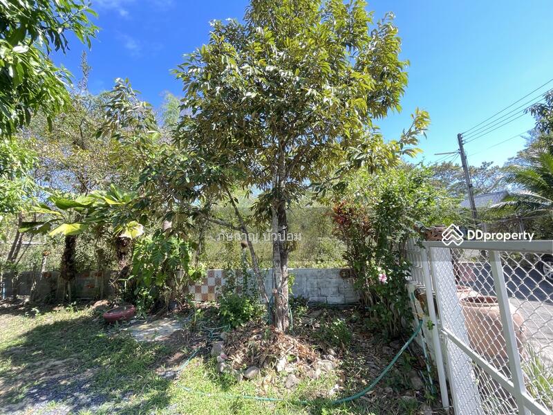 For Sale - นครนายก, Nakhon Nayok