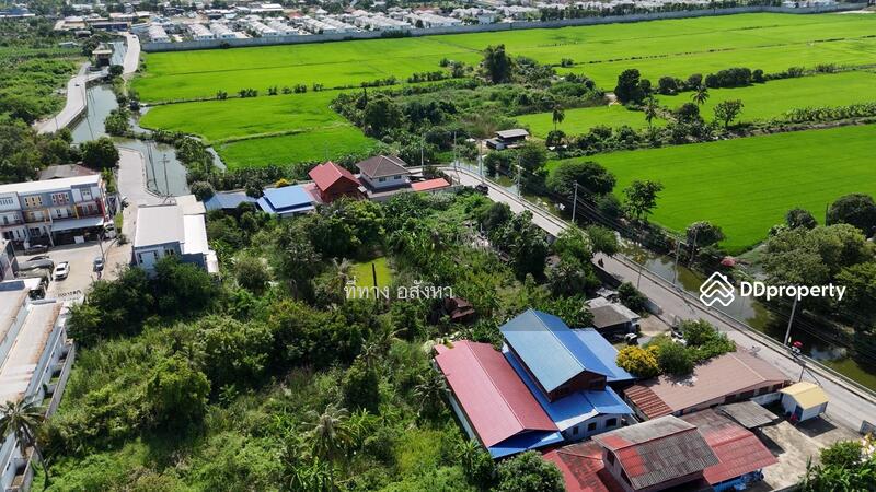 ขาย - บางรักพัฒนา, นนทบุรี