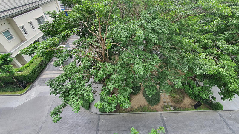 Park Origin Phrom Phong (Park 24), กรุงเทพ, 68 Soi Sukhumvit 24, คลองตัน, คลองเตย, กรุงเทพ, 30 ตร.ม., คอนโด ให้เช่า, โดย Kittichai Phinijdamm (David), 60151352 - DDproperty.com