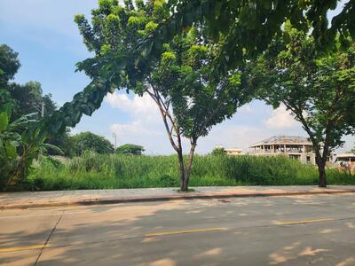 ขาย - บางระมาด, กรุงเทพ