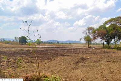 ขาย - NY-914541 ที่ดินบึงสามพัน 100 ตร.ว. เพชรบูรณ์ ใกล้วัดบึงสามพันล่าง, เพชรบูรณ์