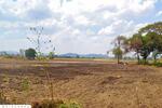 NY-914541 ที่ดินบึงสามพัน 100 ตร.ว. เพชรบูรณ์ ใกล้วัดบึงสามพันล่าง, เพชรบูรณ์