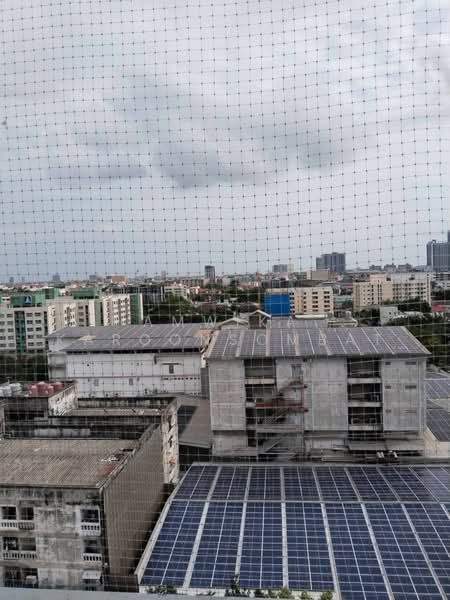 The Gallery Bearing, Samut Prakan, Sukhumvit 107 Road, Samrong Nua, Muang Samut Prakarn, Samut Prakan, 1 Bedroom, 30 sqm, Condo For Rent, by Amwika Karoonsombat, 60152016 - DDproperty.com