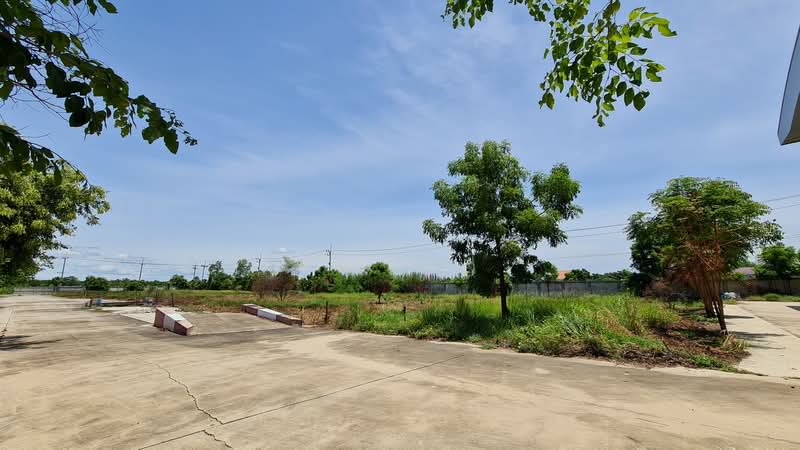 ถนน โคกหม้อ-ห้วยม้าลอย ตำบล หนองสาหร่าย อำเภอ ดอนเจดีย์ จังหวัด สุพรรณบุรี, สุพรรณบุรี, 202 หมู่ที่ 4 ถนน โคกหม้อ-ห้วยม้าลอย, หนองสาหร่าย, ดอนเจดีย์, สุพรรณบุรี, 6,585 ตร.ม., สำนักงาน ขาย, โดย วันวิสา, 60152176 - DDproperty.com