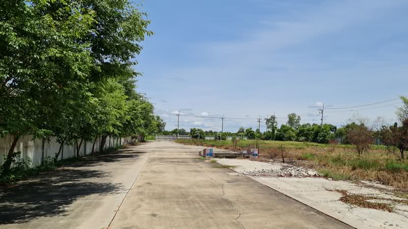 ถนน โคกหม้อ-ห้วยม้าลอย ตำบล หนองสาหร่าย อำเภอ ดอนเจดีย์ จังหวัด สุพรรณบุรี, Suphan Buri, 202 หมู่ที่ 4 ถนน โคกหม้อ-ห้วยม้าลอย, Nong Sarai, Don Chedi, Suphan Buri, , 6,585 sqm, Office Space For Sale, by วันวิสา, 60152176 - DDproperty.com