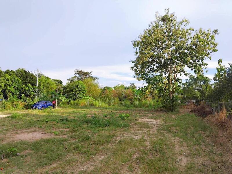 พัทยาฝั่งตะวันออก - ซอยสยามคันทรีคลับ - ซอยพรประภานิมิตร - หนองปรือ, Chon Buri (Pattaya), ถนนซอยพรประภานิมิตร 34 , ใกล้สนามกอล์ฟสยามคันทรีคลับ, Nong Pru, Bang Lamung (Pattaya), Chon Buri (Pattaya), , 800 sqm, Land For Sale, by Nichapa Phiachan, 60152451 - DDproperty.com