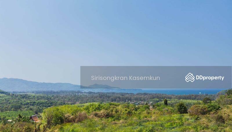 ขาย - La Colline : ลา คอลลีน, ภูเก็ต