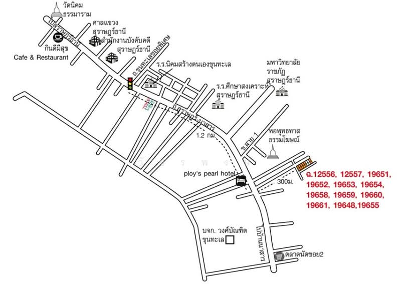 ที่ดิน อำเภอเมือง จังหวัดสุราษฎร์ธานี, สุราษฎร์ธานี, สุราษฎร์ธานี-นาสาร, ขุนทะเล, เมืองสุราษฎร์ธานี, สุราษฎร์ธานี, 408 ตร.ม., ที่ดิน ขาย, โดย วัชรพงษ์, 60152896 - DDproperty.com