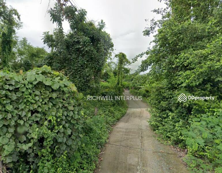 For Sale - Land for sale in Dong Lakhon, 61 sq m, next to a concrete road, near Highway 3076-1 km,, Nakhon Nayok