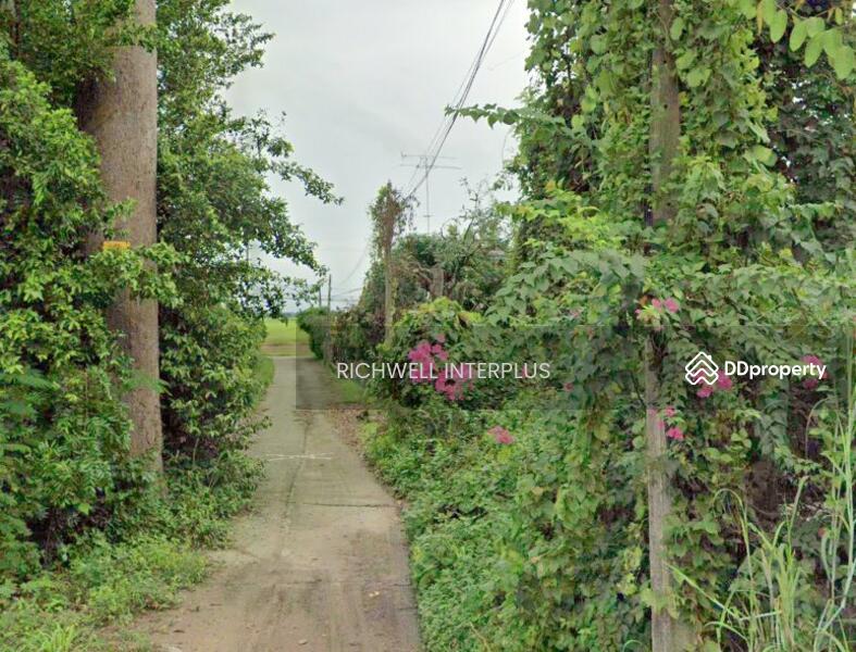For Sale - Land for sale in Dong Lakhon, 61 sq m, next to a concrete road, near Highway 3076-1 km,, Nakhon Nayok