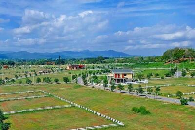 ขาย - Holiday Park Khao Yai : ฮอลิเดย์ปาร์ครีสอร์ทเขาใหญ่, นครราชสีมา
