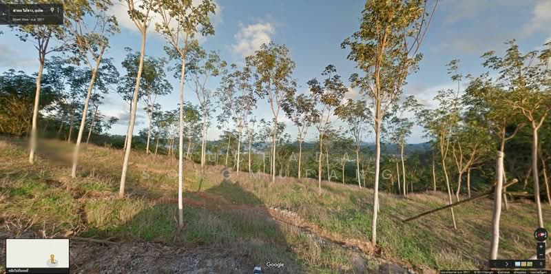 ที่ดินเปล่า เขาหมากปรก ไม้ขาว, ภูเก็ต, ไม้ขาว, ถลาง, ภูเก็ต, 43,438 ตร.ม., ที่ดิน ขาย, โดย Suchada Songmueang, 60153074 - DDproperty.com