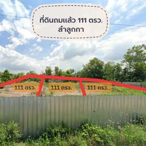 ขาย - ขายที่ดิน โอกาสดีสำหรับคนหาที่ดินสร้างบ้านหรือเก็บลงทุน คลอง 12 ต.พืชอุดม อ.ลำลูกกา จ.ปทุมธานี ท, ปทุมธานี