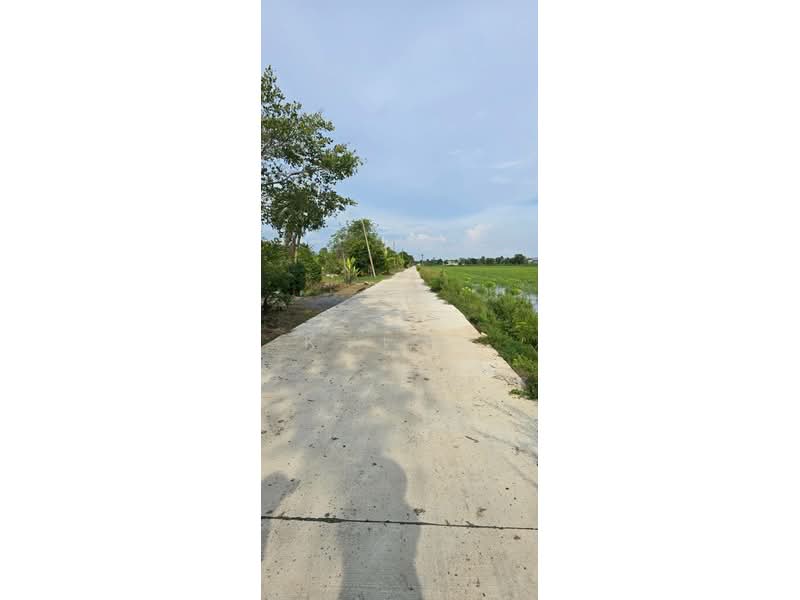 For Sale - ขายที่ดิน โอกาสดีสำหรับคนหาที่ดินสร้างบ้านหรือเก็บลงทุน คลอง 12 ต.พืชอุดม อ.ลำลูกกา จ.ปทุมธานี ท, Pathum Thani
