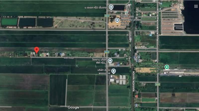 ขาย - ขายที่ดิน โอกาสดีสำหรับคนหาที่ดินสร้างบ้านหรือเก็บลงทุน คลอง 12 ต.พืชอุดม อ.ลำลูกกา จ.ปทุมธานี ท, ปทุมธานี