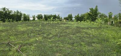 ขาย - ที่ดินเปล่าคลอง4 องคลองหลวง 3-0-69ไร่ ติดถนนเลียบมอเตอร์เวย์กาญจนาภิเษก ขายด่วนยกแปลง 52 ล้านบาท, ปทุมธานี