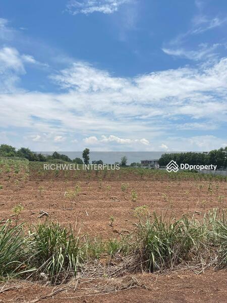 For Sale - Purple land for sale in Lad Takhian, 24 rai, next to CPF factory, near Road 304, 700 meters,, Prachin Buri