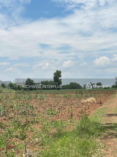 For Sale - Purple land for sale in Lad Takhian, 24 rai, next to CPF factory, near Road 304, 700 meters,, Prachin Buri