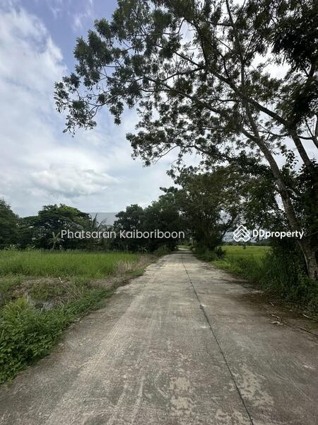 ขาย - ที่ดินนครนายก วิวเขา 2 ไร่, นครนายก