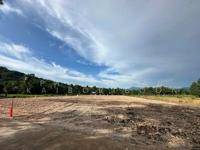 ขาย - ที่ดินนครนายก วิวเขา 2 ไร่, นครนายก