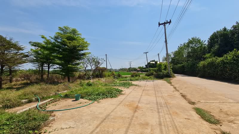 ถนน บ้านกร่าง-บ้านแหลมโพธิ์ ตำบล บ้านกร่าง อำเภอ เมืองพิษณุโลก จังหวัด พิษณุโลก, พิษณุโลก, ถนน บ้านกร่าง-บ้านแหลมโพธิ์, บ้านกร่าง, เมืองพิษณุโลก, พิษณุโลก, 3,992 ตร.ม., กิจการ ขาย, โดย วันวิสา, 60153418 - DDproperty.com