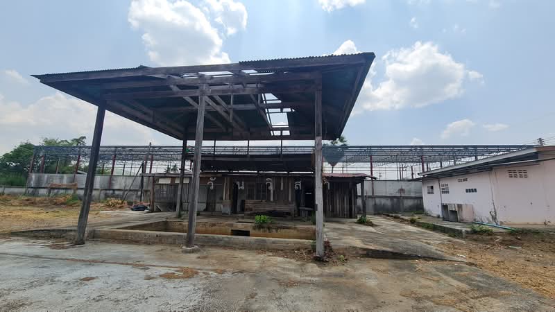 ถนน เทศบาล 4 ตำบล ซับสมอทอด อำเภอ บึงสามพัน จังหวัด เพชรบูรณ์, Phetchabun, 408 หมู่ที่ 7 ถนน เทศบาล 4, Bung Samphan, Buang Sam Phan, Phetchabun, , 606 sqm, Warehouse/Factory For Sale, by วันวิสา, 60153662 - DDproperty.com
