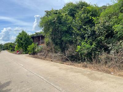ขาย - ขายที่ดิน หน้าติดถนน หลังติดคลองบางละมุง, นครสวรรค์