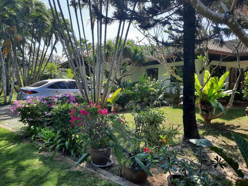 ขาย - เทอเทิล วิลเลจ (Turtle Village), ประจวบคีรีขันธ์