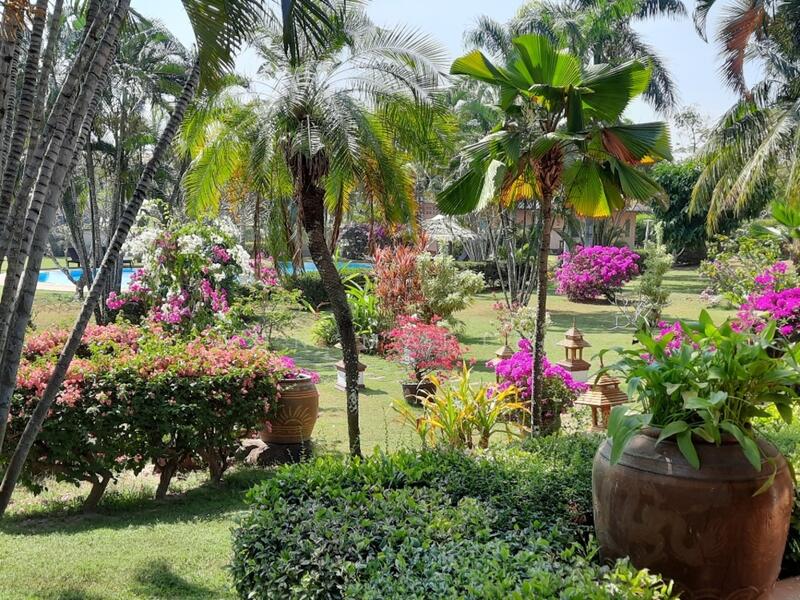 ขาย - เทอเทิล วิลเลจ (Turtle Village), ประจวบคีรีขันธ์