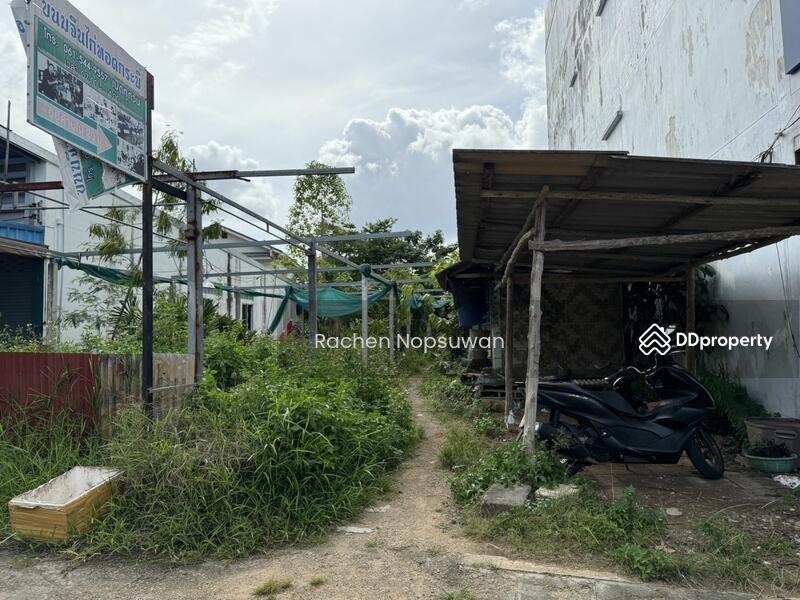 For Rent - Land for rent, 2 units, Krabi town, size 54.8 square wah, rent 20,000 baht/month, Krabi