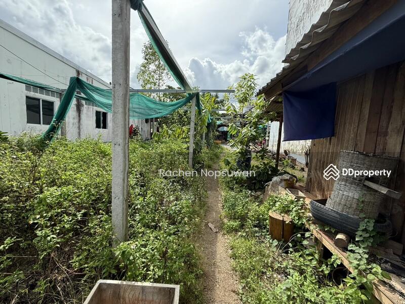 For Rent - Land for rent, 2 units, Krabi town, size 54.8 square wah, rent 20,000 baht/month, Krabi