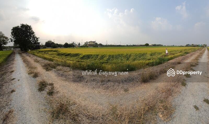 For Sale - Land for Sale at Baan Kluay-Sai Noi Road, Nonthaburi